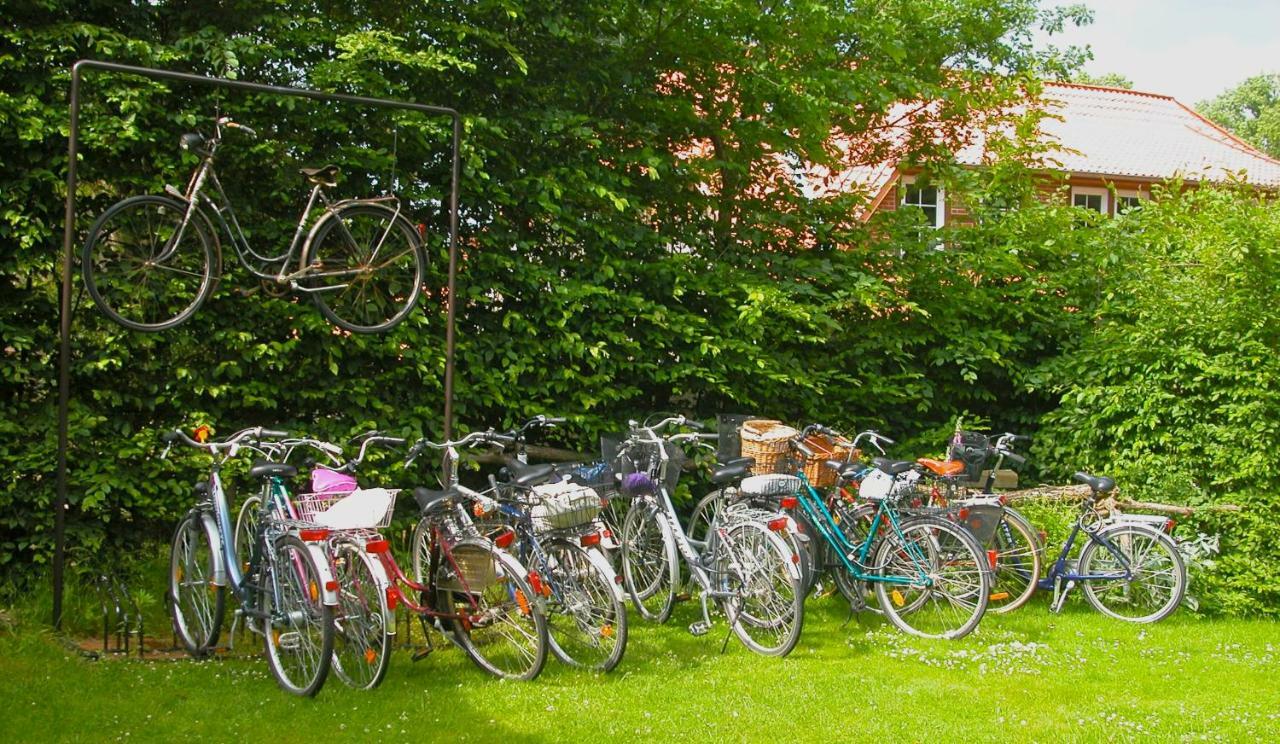 Privatzimmer Alte Schule Suderburg Exteriör bild