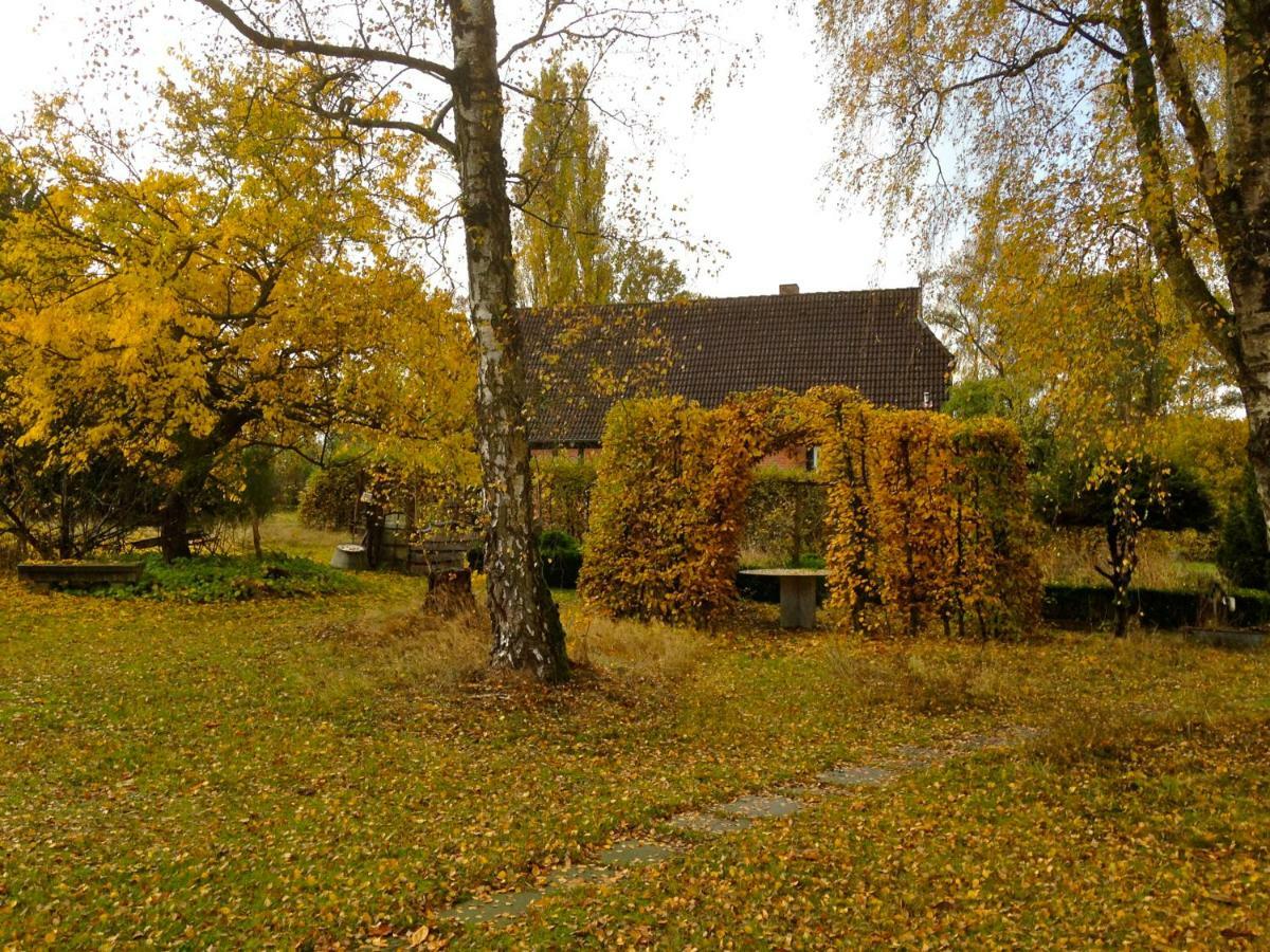 Privatzimmer Alte Schule Suderburg Exteriör bild